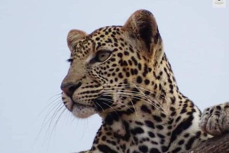 4 Day Best of Kenya Private Guided Tour Safaris from Malindi