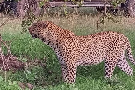 Private 2 Days Safari Tsavo East from Watamu 