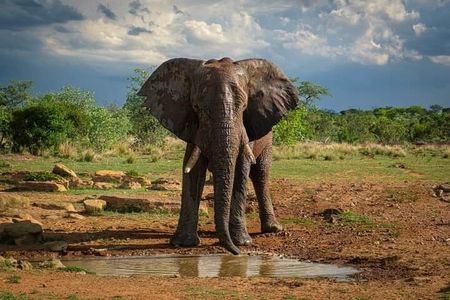 3 Day Safari Tsavo East 