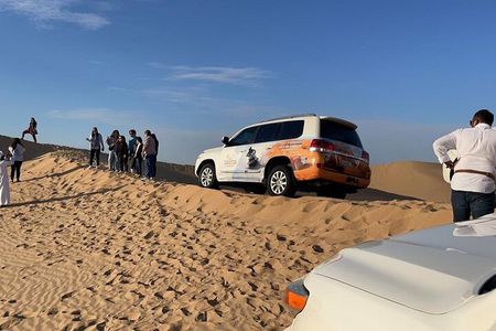Safari Half-Day Adventure from Abu Dhabi