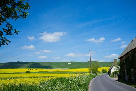 Private Tour of Quintessential Wiltshire and Cotswold Villages