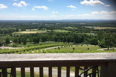 Private Loudoun County Wine Tour from DC with 3 Winery Stops
