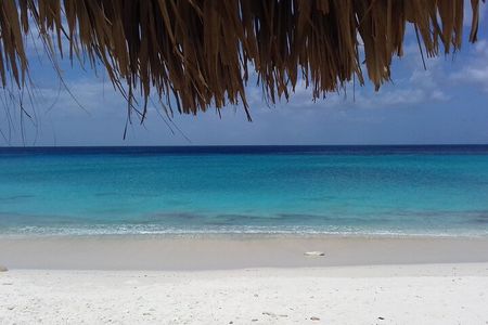 Where the Ocean Roars: Shete Boka, Sea Turtles & Kenepa Escape