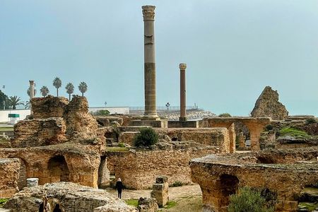 Private Group Day Tour Tunis Medina Carthage Sidi Bou Said 