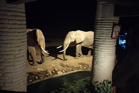 3 Days Safari Amboseli Taita Hills Saltlick Lodge