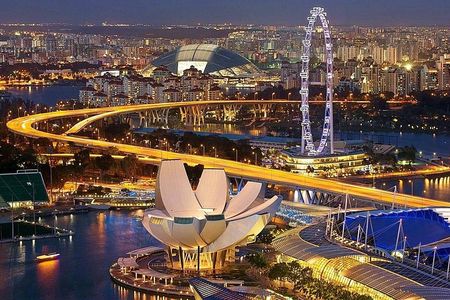 Singapore: Private City Highlights Tour with River Cruise