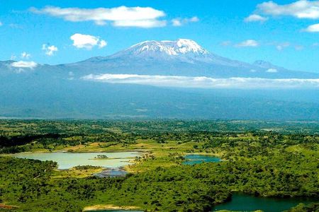 From Arusha: 7 Days Classic Safari Central Northern Circuit