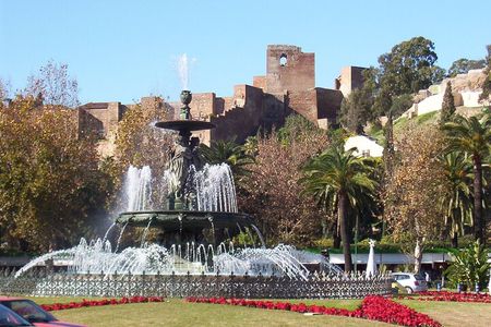 Private Sightseeing Tour in Malaga 