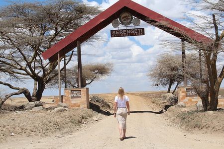 4 Days 3 Nights Tanzanian Budget Safari Tour