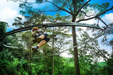 Jungle Flight Zipline Roller Coaster
