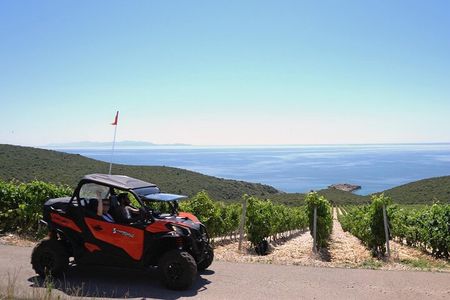 Korcula Island Private Buggy Beach Hunting Safari with lunch