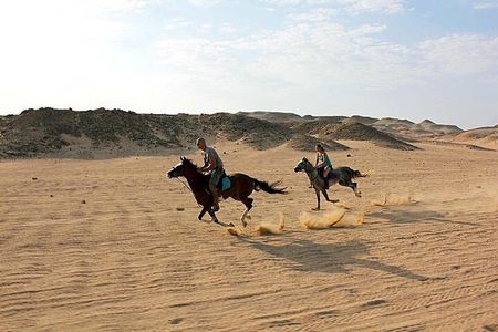 Private Horse Riding Tour in Luxor West Bank