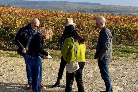 Discover the great wines of Vosne-Romanée 