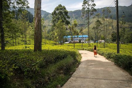 Half Day Private Nuwara Eliya City Tour 