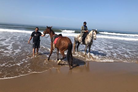 Horse Riding Agadir