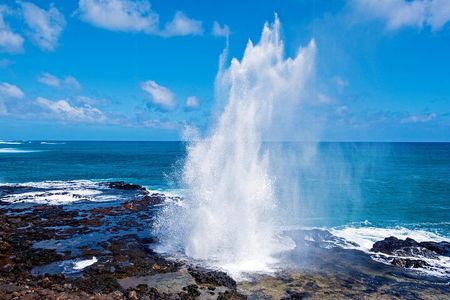 Kauai Highlights Small Group Tour -A journey to the Canyon & more