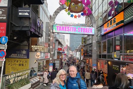 Tokyo 8hr Private Tour with Licensed Guide from Yokohama