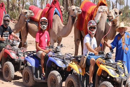 Marrakech Camel Ride & Quad Bike in Palmeraie 