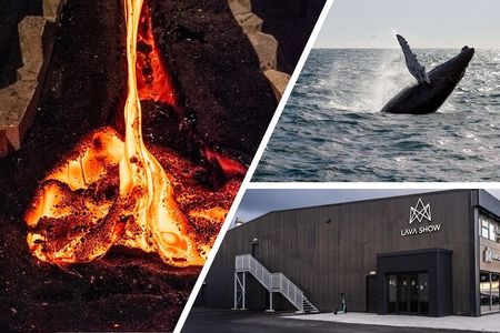 Reykjavik Whale Watching and Lava Show 