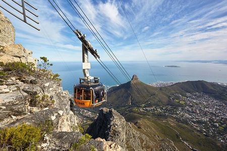 Table Mountain-Wines-Penguins-Cape Point All Inclusive Group Tour