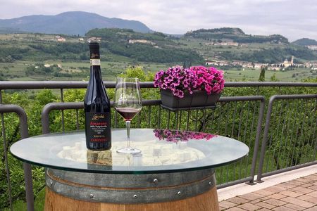 Amarone Wine Tasting in Valpolicella