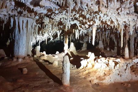 Bonaire Cave Tour: Walk, Climb & Swim