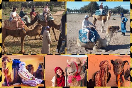 Dromedary Safari: 2 hours