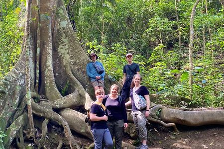 Rainforest Wildlife, Panama Hat makers, Traditional Cuisine. SHORE TOUR
