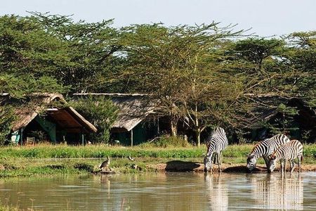 6 Days Samburu Sweetwaters Lake Nakuru and Lake Naivasha Tour