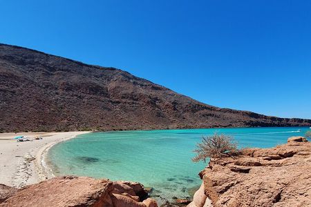 Espíritu Santo Island snorkel and sightseeing tour on Small Group