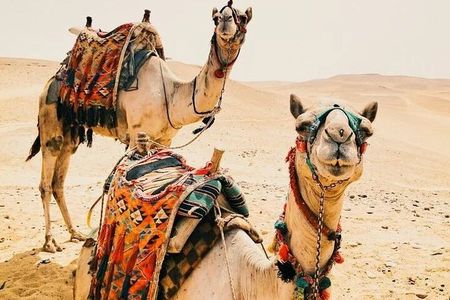 Luxury 5 Days Desert Tour From Marrakech 2025