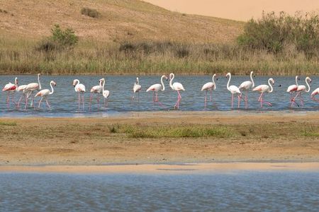 Half-Day Tour in Massa National Park with Professional Guide 