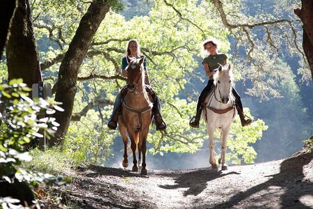 Sydney - Hunter Valley Wine Tasting & Horse Riding Private Tour
