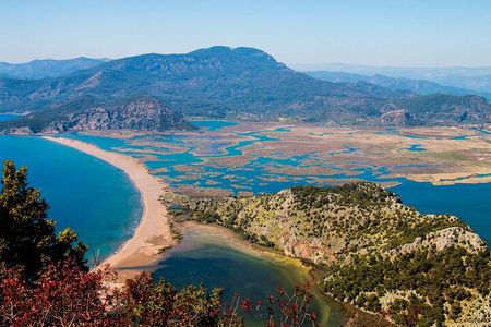 Bodrum Turtle Beach Tour With Mud Baths & King Tombs
