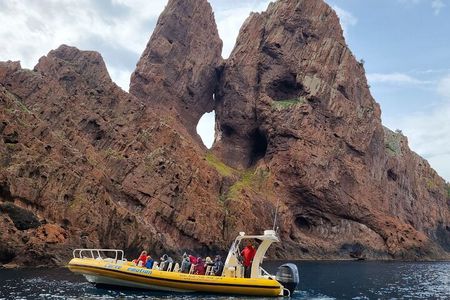 Half Day Boat Trip to Scandola Calanche de Piana