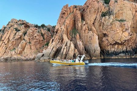 Half Day Boat Trip to Scandola Calanche de Piana