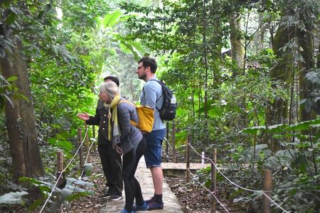 Ninh Binh 2Days/1Night With Boat Trip & Cuc Phuong National Park