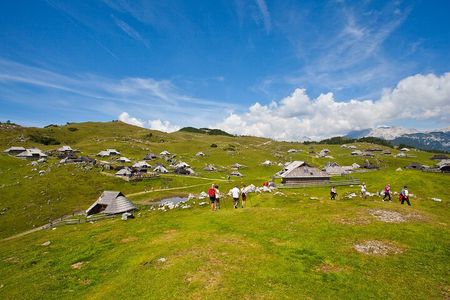 Velika planina and Logarska dolina with picnic (private tour)