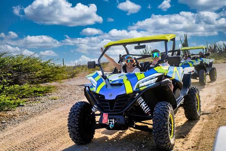 Wild Side UTV Tour: Explore the Northern treasure 