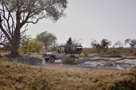 8 Day Chobe NP, Elephant Sands, Okavango Delta & Victoria Falls