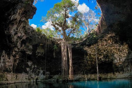 4 Cenotes Full Day Tour from Merida