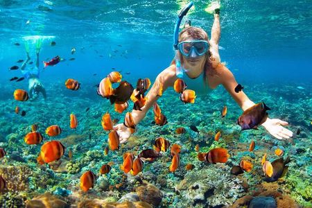 4 Hours Private Tour with Snorkeling and West Bay Beach Break 