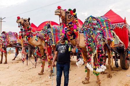 Private Same Day Trip to Pushkar from Jaipur