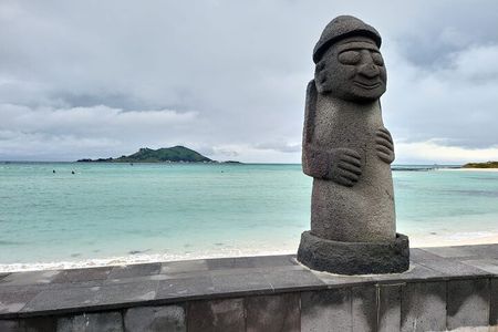 1 Day Free schedule Tour a lot of experince driver in jeju island
