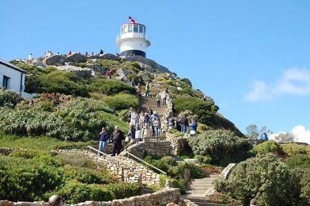 Bo Kaap Cape Point Penguins at Boulders Beach Cape Town