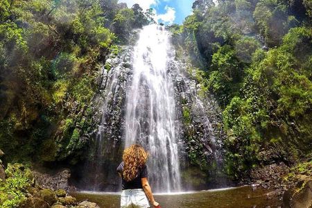 Day trip to Materuni waterfall, Coffee tour and Moshi Nightlife