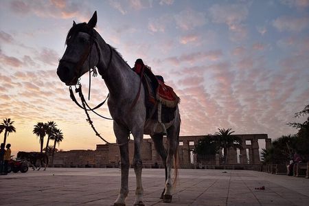 Full-Day Trip to Luxor by Plane from Cairo