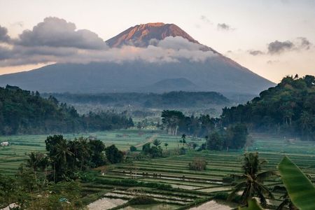Bali Private Driver For Tour in Bali