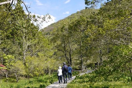 Easygoing Nature Walk in Hakone Tour