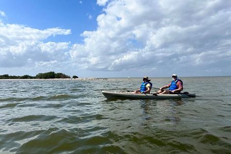 Space Coast Manatee & Coastal Wildlife Kayak Tour